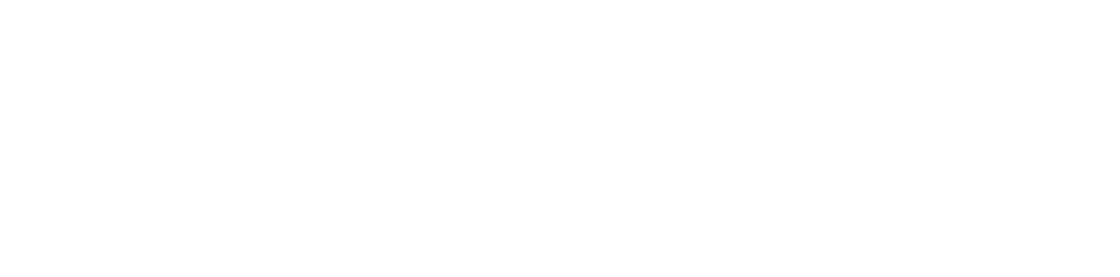 steela white logo